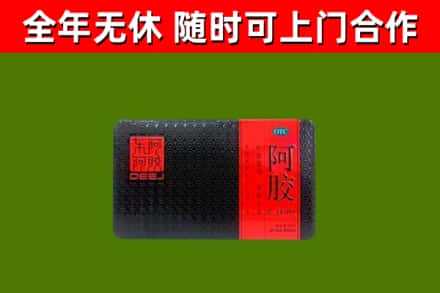 右江回收阿胶