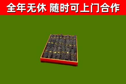 右江回收海参